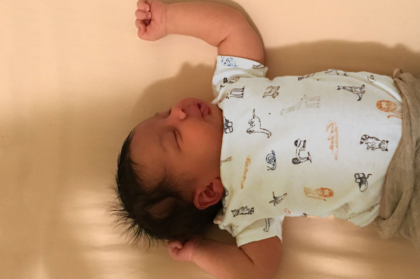 American Made Cotton Crib Sheet